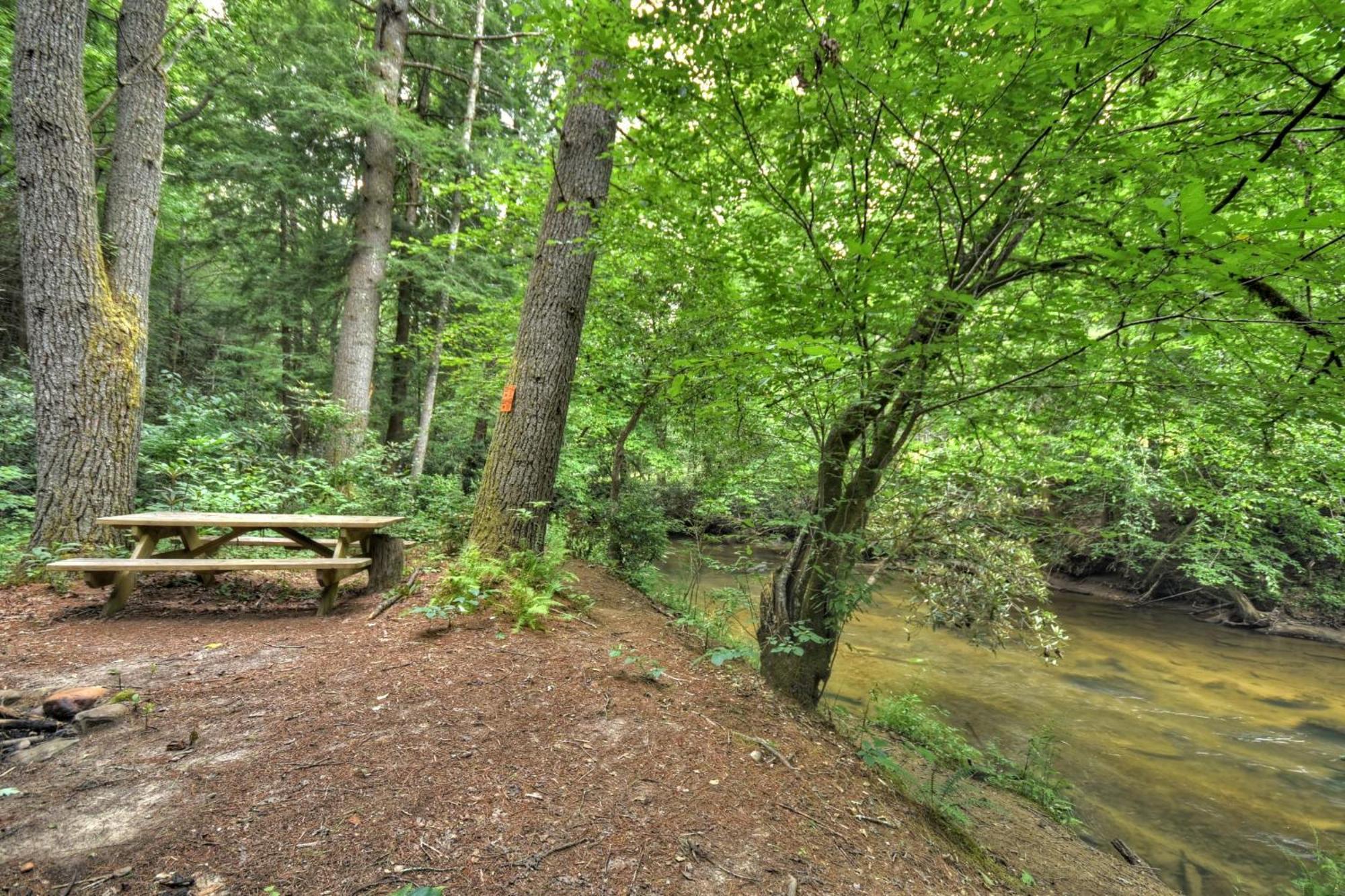 K6 Lodge Gather Around The Firepit Soak In The Hot Tub And Splash In The Creek Blue Ridge Exterior foto